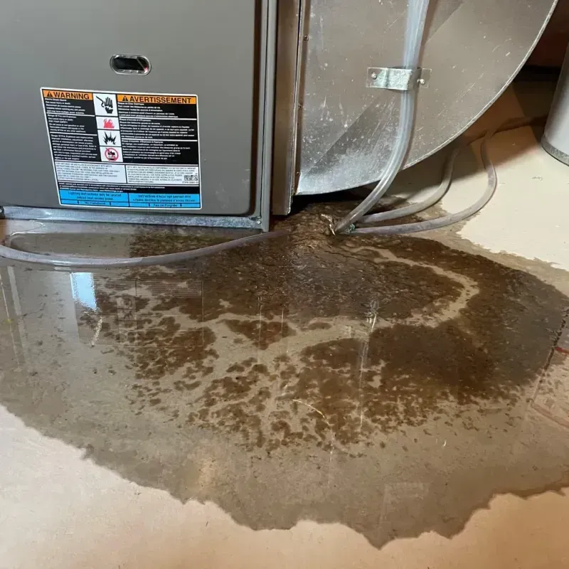 Appliance Leak Cleanup in Ida County, IA